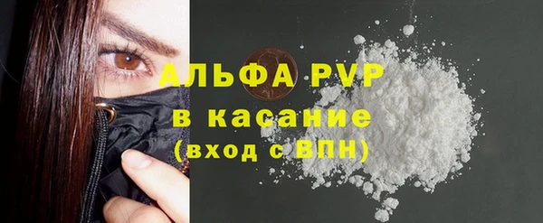 ГАЛЛЮЦИНОГЕННЫЕ ГРИБЫ Иннополис