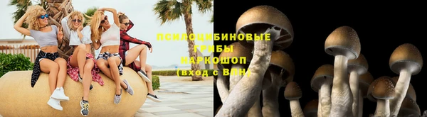 ГАЛЛЮЦИНОГЕННЫЕ ГРИБЫ Иннополис