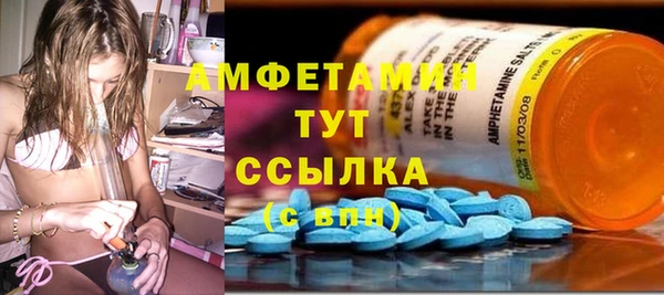 ALPHA PVP Инсар