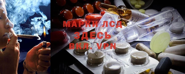 ГАЛЛЮЦИНОГЕННЫЕ ГРИБЫ Иннополис