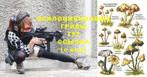ГАЛЛЮЦИНОГЕННЫЕ ГРИБЫ Иннополис